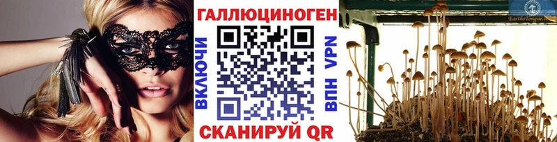 Псилоцибиновые грибы мухоморы  где продают   blacksprut ссылки  Бирюсинск 