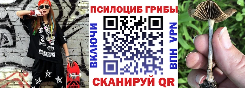 Псилоцибиновые грибы мухоморы Бирюсинск